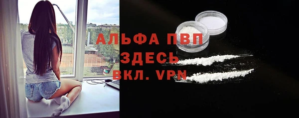 таблы Гусев
