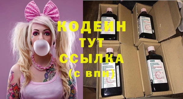 таблы Гусев