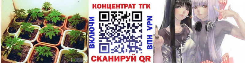 Купить закладки  Шацк  ТГК вейп 